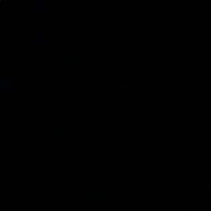 Meet your Posher, Riley